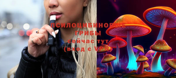 PSILOCYBIN Нязепетровск