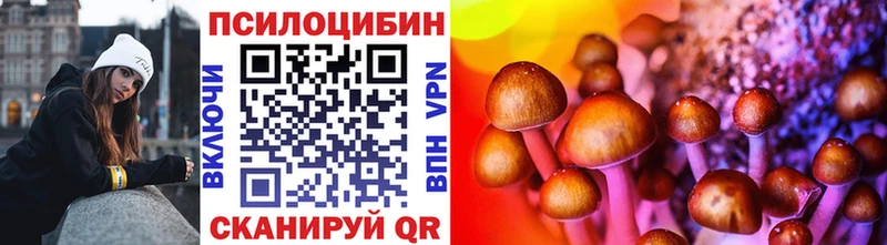 Галлюциногенные грибы Psilocybine cubensis  KRAKEN как войти  Ужур  что такое  
