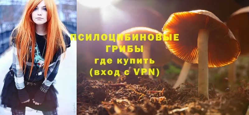 Псилоцибиновые грибы GOLDEN TEACHER  Ужур 